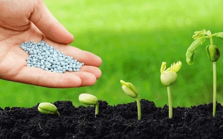 Công Nghệ Sản Xuất Phân Bón Vô Cơ (NPK Hóa Học)